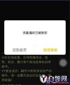 随心哥爆料视频大全最新,揭秘视频大全背后的精彩故事