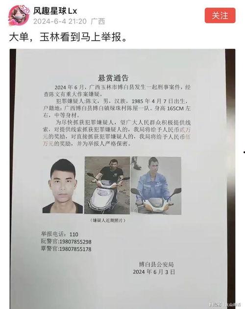 玉山网友爆料案件最新消息,案情再掀波澜，真相逐渐浮出水面